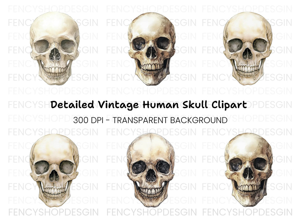 Human Skull Clipart Bundle