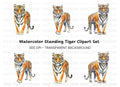 Majestic Tiger Clipart Bundle