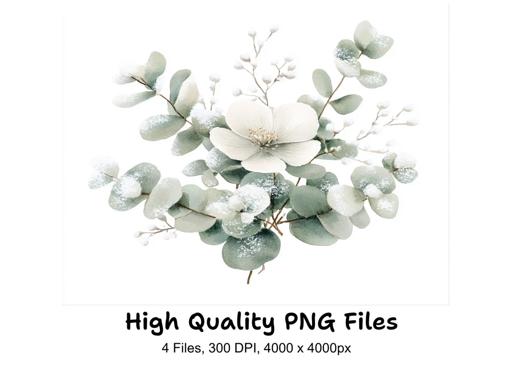 Eucalyptus Winter Flower Clipart Bundle