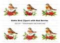 Robins with Holly Berries Clipart Bundle