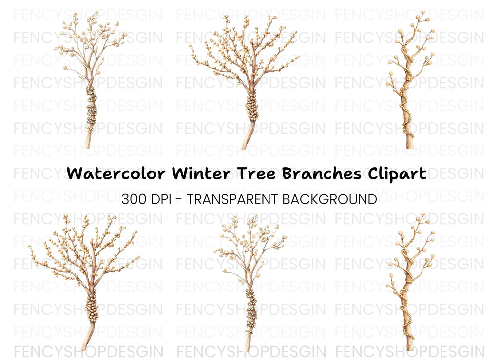 Microscopic Fungi Spore Clipart Bundle
