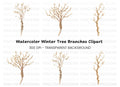 Microscopic Fungi Spore Clipart Bundle