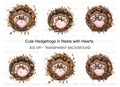 Cute Hedgehogs in Nests with Hearts Clipart Bundle