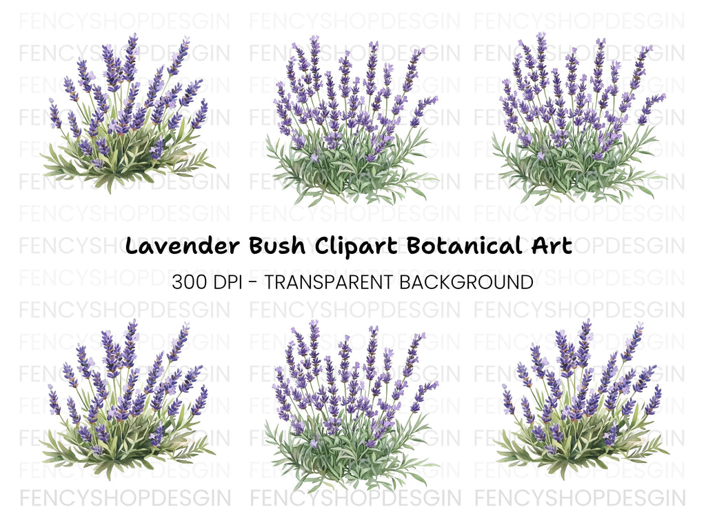 Lavender Bush Designs Clipart Bundle