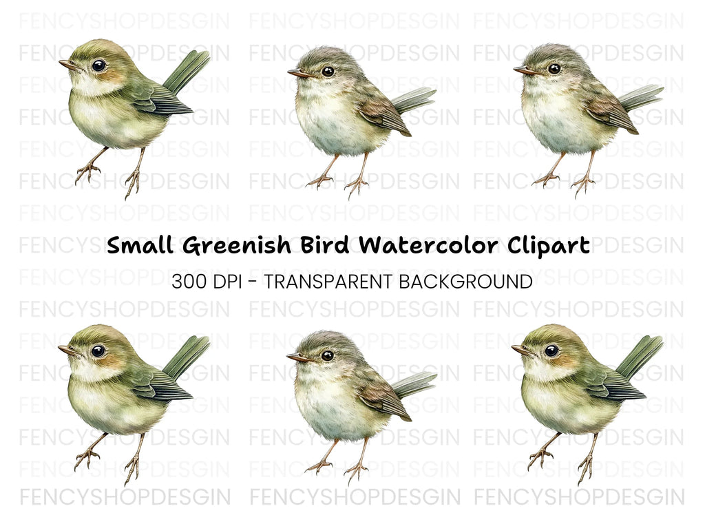 Cute Bird Clipart Bundle