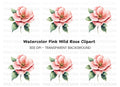 Pink Wild Rose Clipart Bundle
