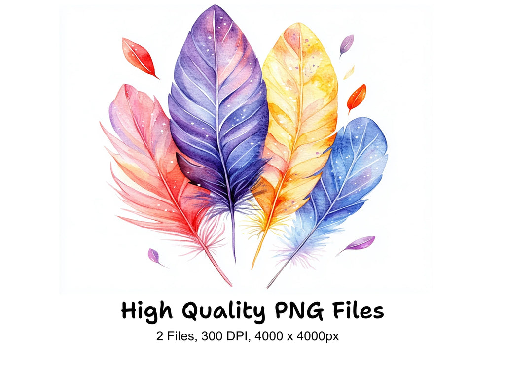 Colorful Feather Arrangement Clipart Bundle