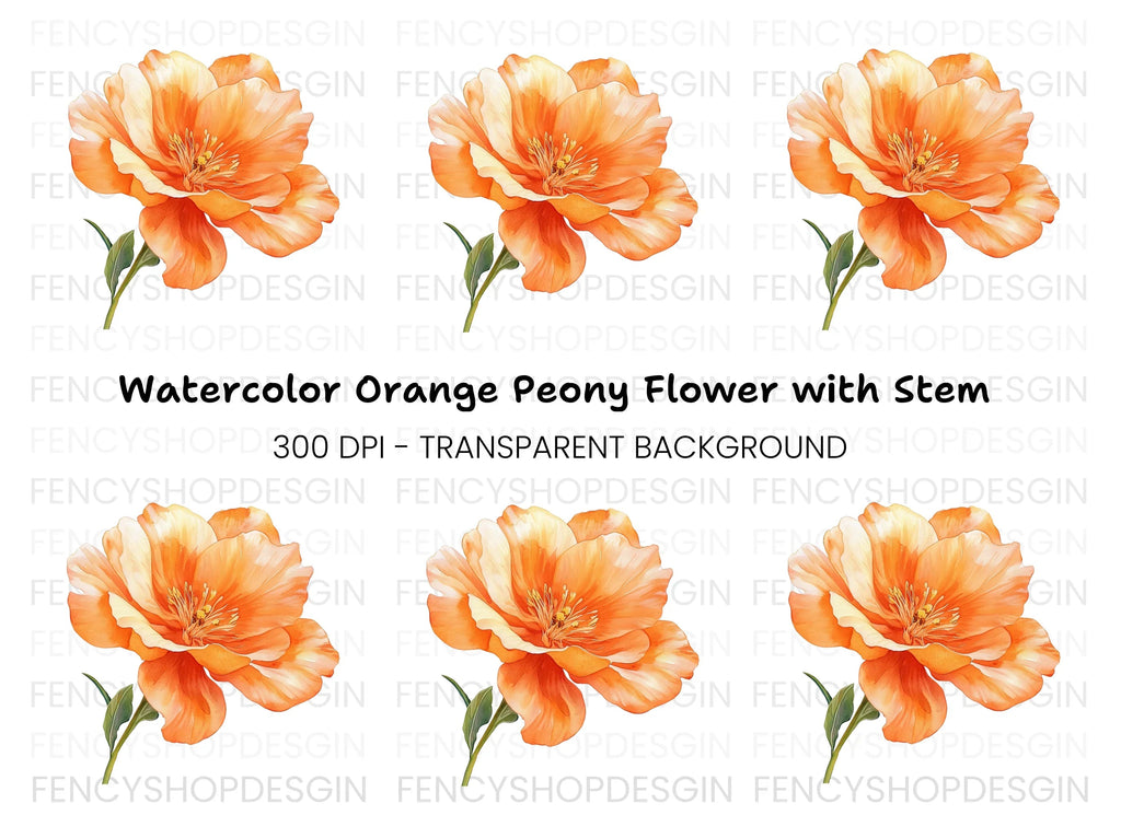 Vibrant Orange Flower Clipart Bundle