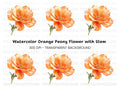 Vibrant Orange Flower Clipart Bundle