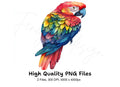 Vibrant Macaw Clipart Bundle