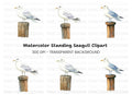 Seagull on Wooden Post Clipart Bundle