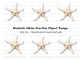 White Starfish Clipart Bundle