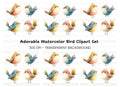 Charming Bird Clipart Bundle