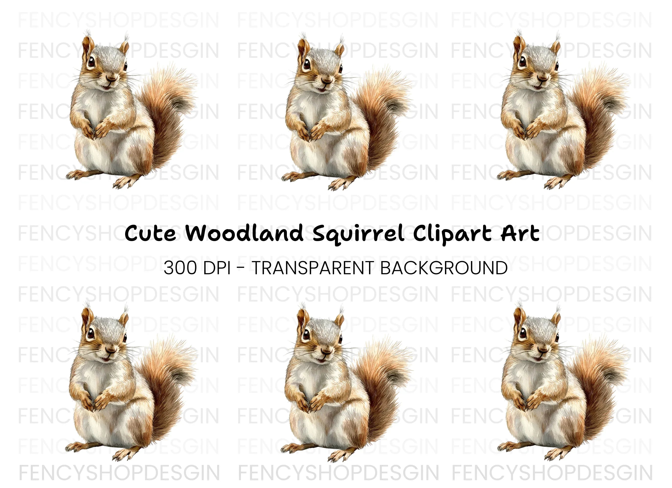 Cute Squirrel Animal Clipart Bundle