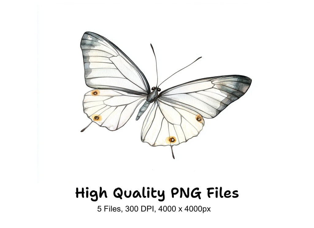Elegant White Butterfly Clipart Bundle