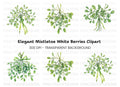 Green Mistletoe with Berries Clipart Bundle