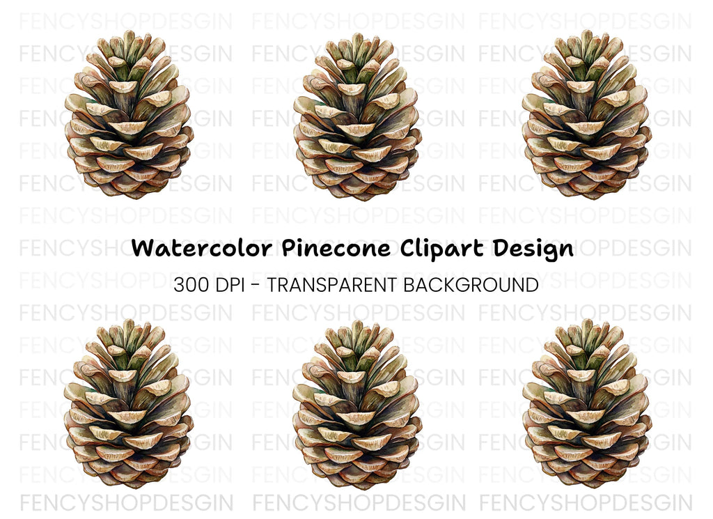 Realistic Pine Cone Clipart Bundle
