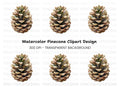 Realistic Pine Cone Clipart Bundle