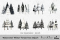 Winter Forest Tree Clipart Bundle