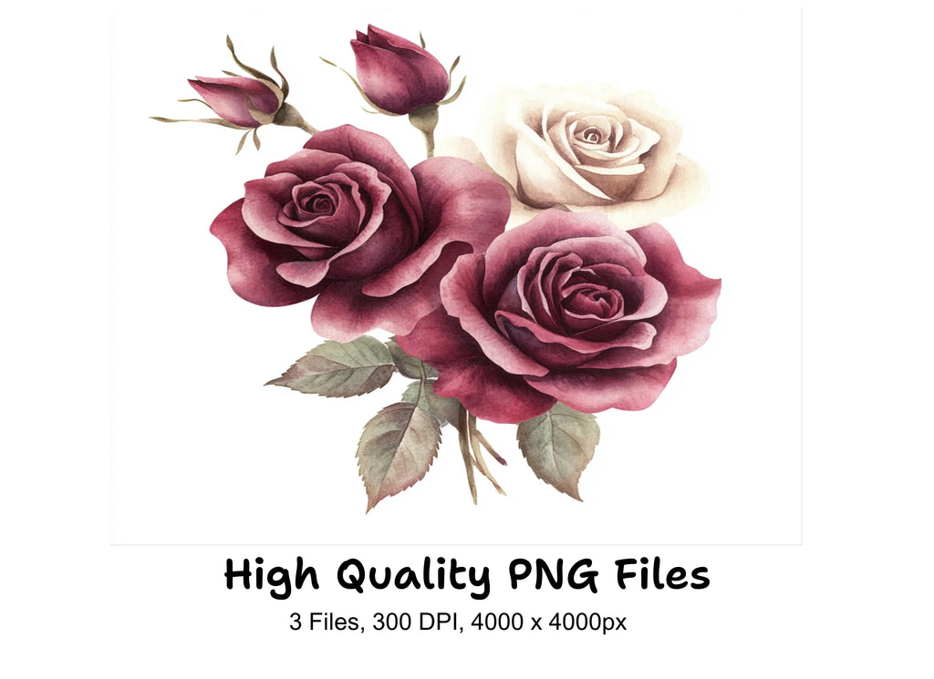 Elegant Burgundy Cream Rose Clipart Bundle
