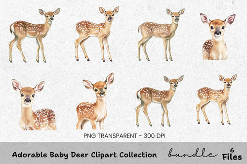 Adorable Baby Deer Clipart Bundle