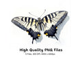 Swallowtail Butterfly Clipart Bundle