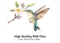 Hummingbird and Blossom Clipart Bundle