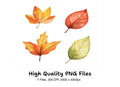 Autumn Leaves Clipart Bundle