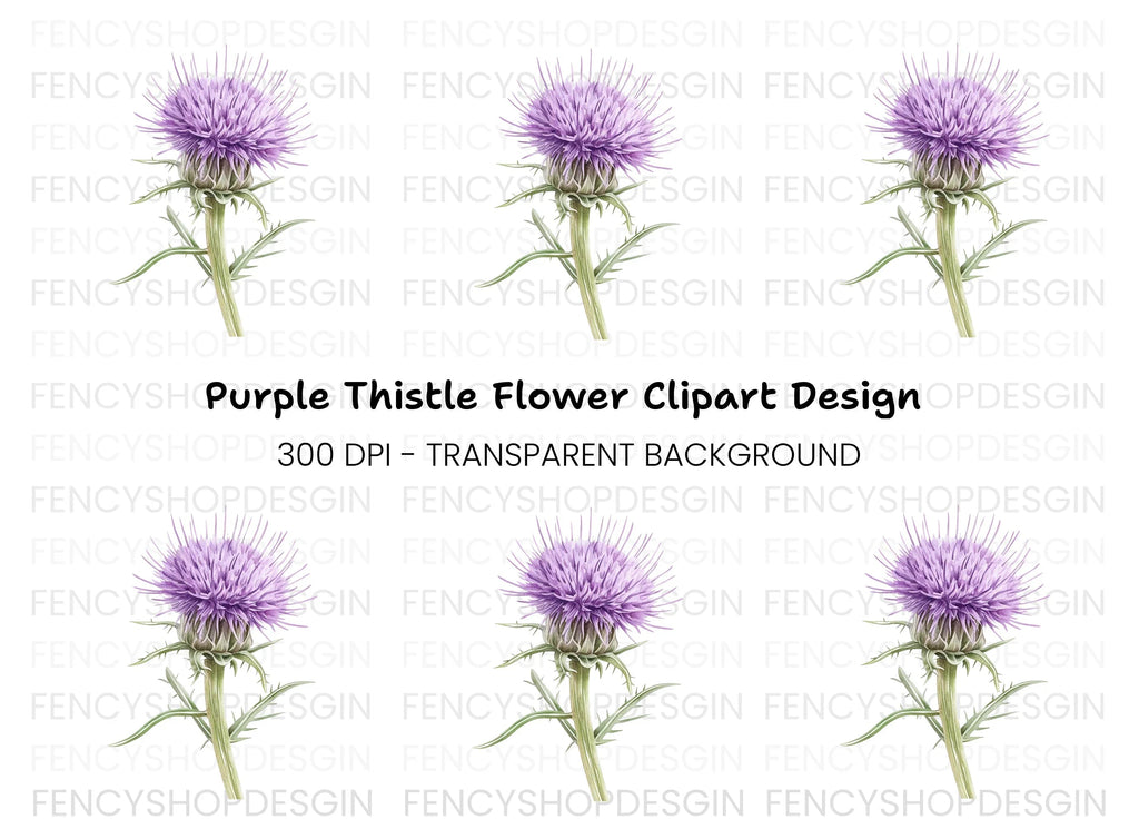 Thistle Plant Duo Clipart Bundle