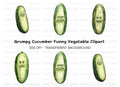 Angry Pickle Cartoon Clipart Bundle