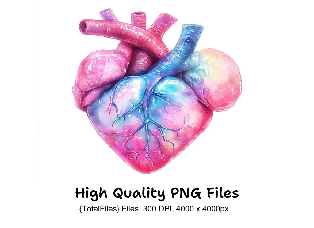 Anatomical Hearts Clipart Bundle