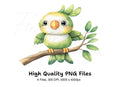 Cute Parrot Clipart Bundle