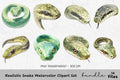 Realistic Snake Clipart Bundle