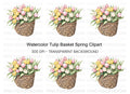 Charming Tulip Basket Clipart Bundle