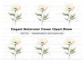 Elegant White Floral Clipart Bundle