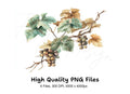 Grapevine Clipart Bundle