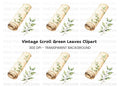 Floral Scroll Clipart Bundle