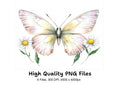 Butterflies and Daisies Clipart Bundle