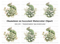 Chameleon on Succulent Clipart Bundle