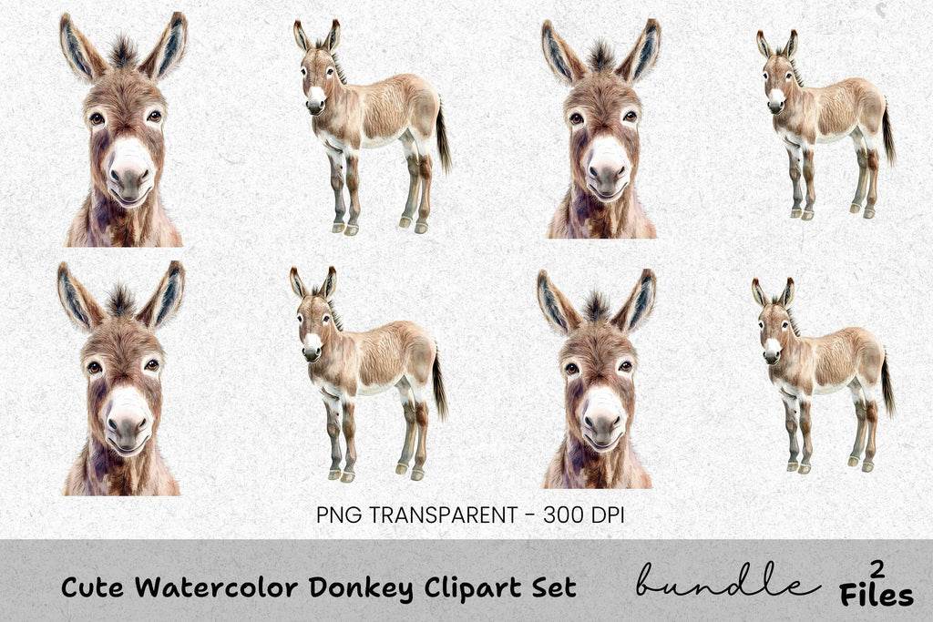 Cute Donkey Clipart Bundle