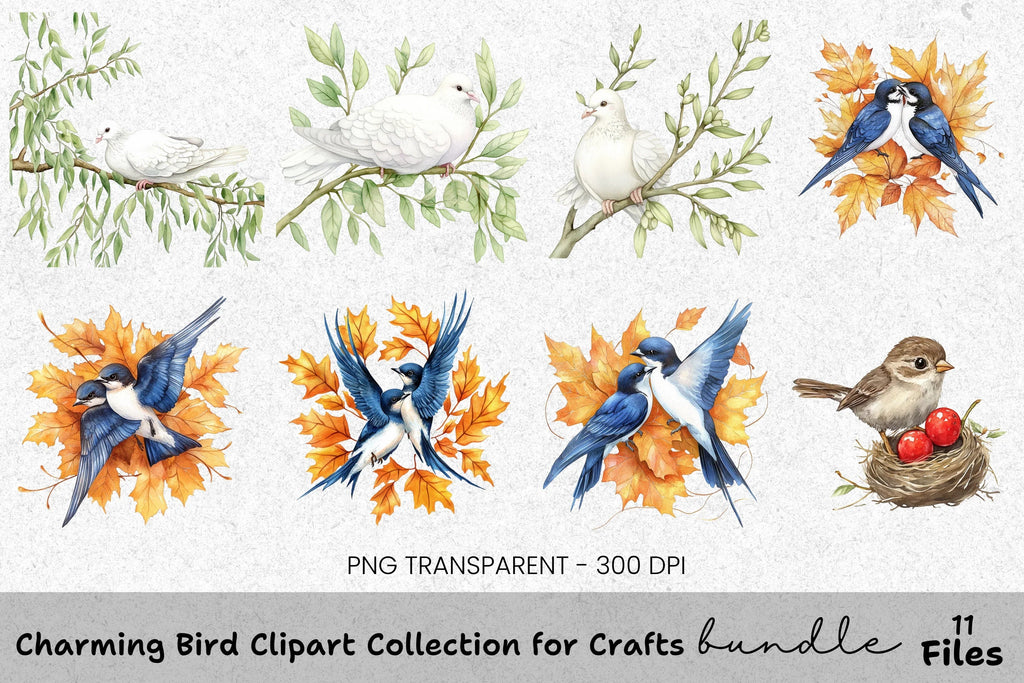 Charming Bird Clipart Bundle for Crafts