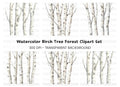 Birch Tree Trunks Clipart Bundle