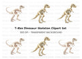 Dinosaur Skeleton Clipart Bundle