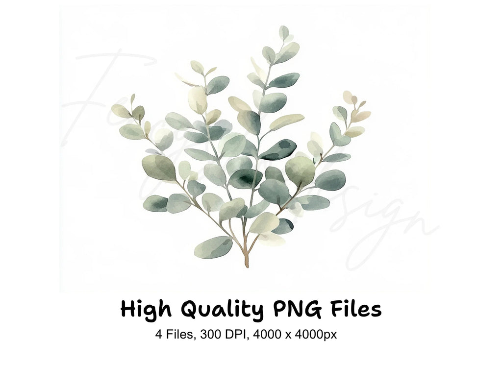 Eucalyptus Leaves Clipart Bundle