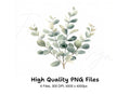 Eucalyptus Leaves Clipart Bundle