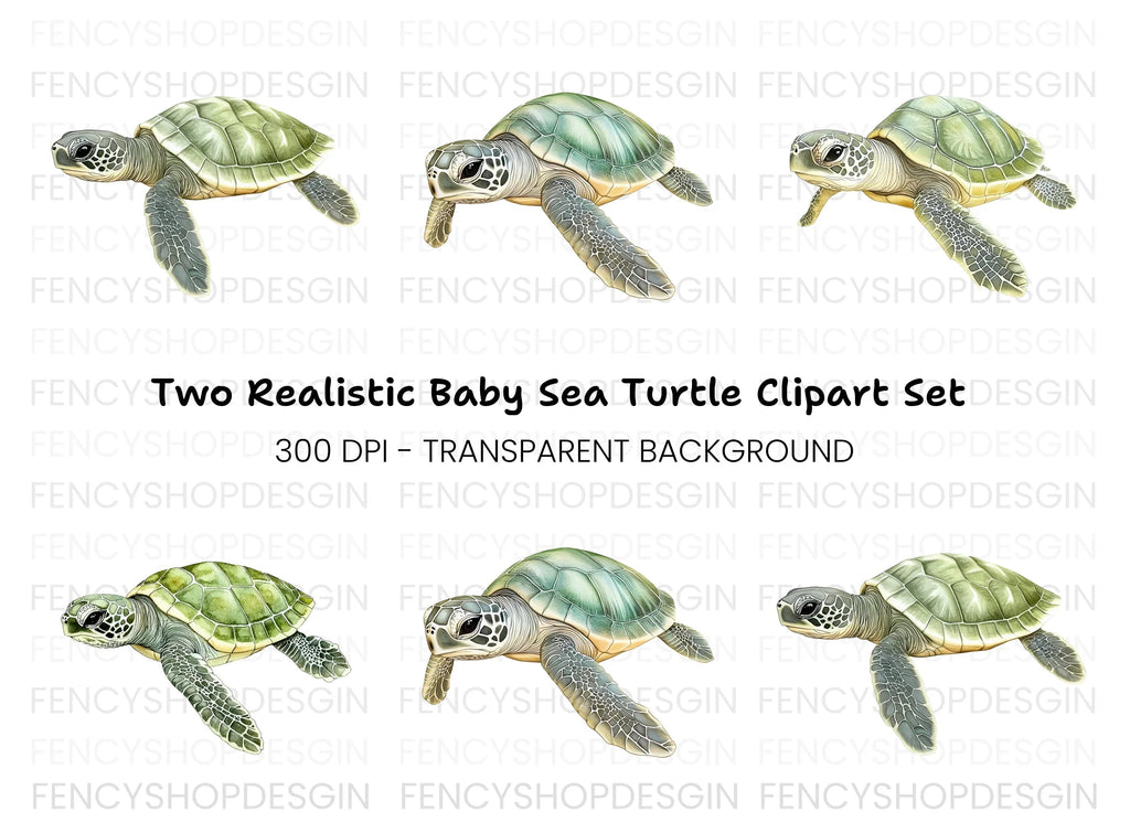Three Baby Sea Turtles Clipart Bundle