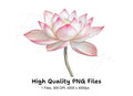 Elegant Pink Lotus Flower Clipart Bundle