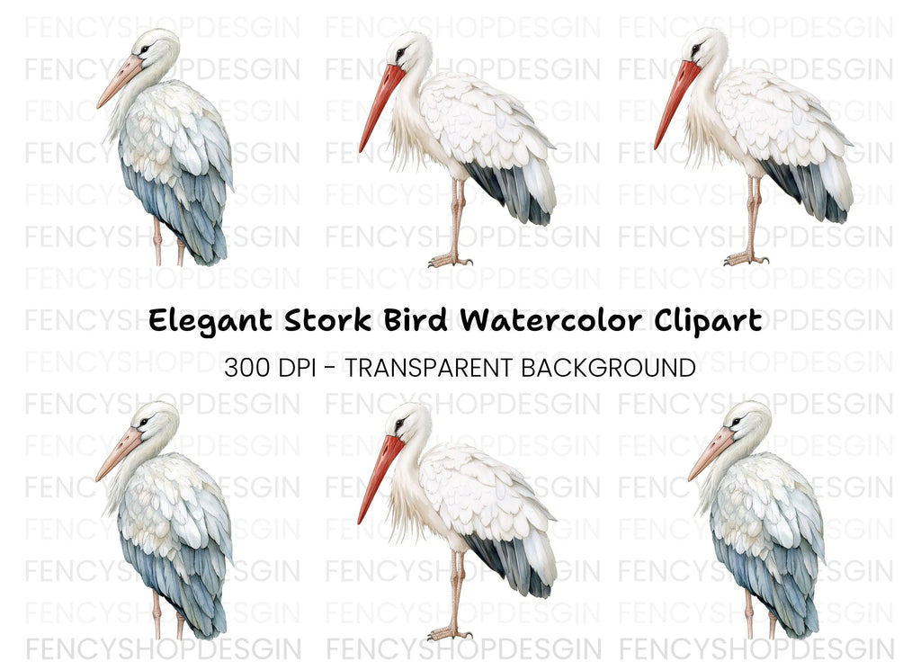 Vibrant Stork Designs Clipart Bundle