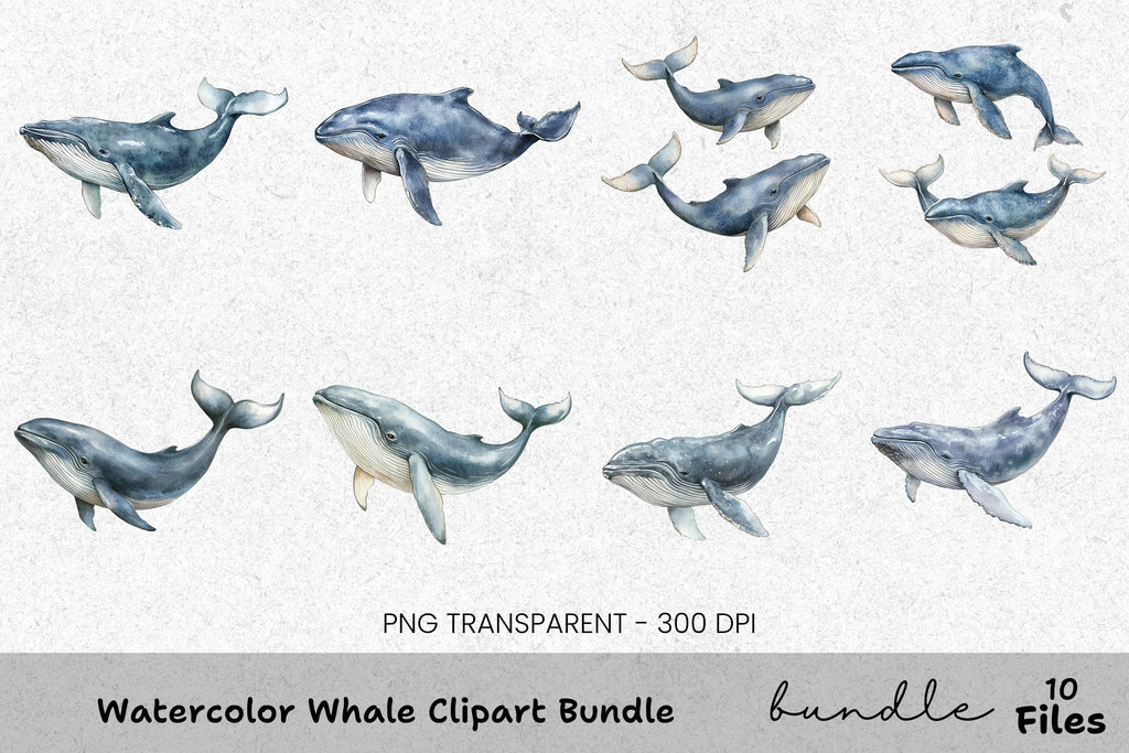 Whale Clipart Bundle