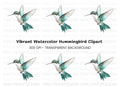 Elegant Flying Hummingbird Clipart Bundle